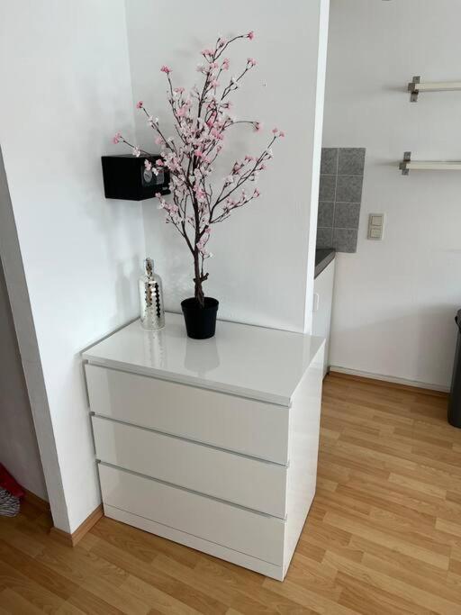 Kleines Apartment Im Zentrum Von Wuerzburg Екстер'єр фото