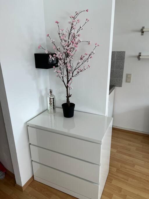 Kleines Apartment Im Zentrum Von Wuerzburg Екстер'єр фото